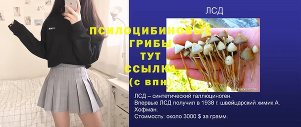 сатива Алзамай