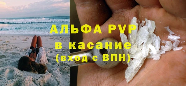 сатива Алзамай