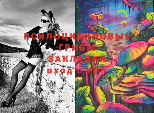 сатива Алзамай