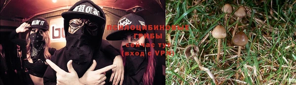 круглые Алексин