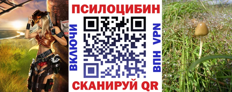 Псилоцибиновые грибы Magic Shrooms  Дедовск 